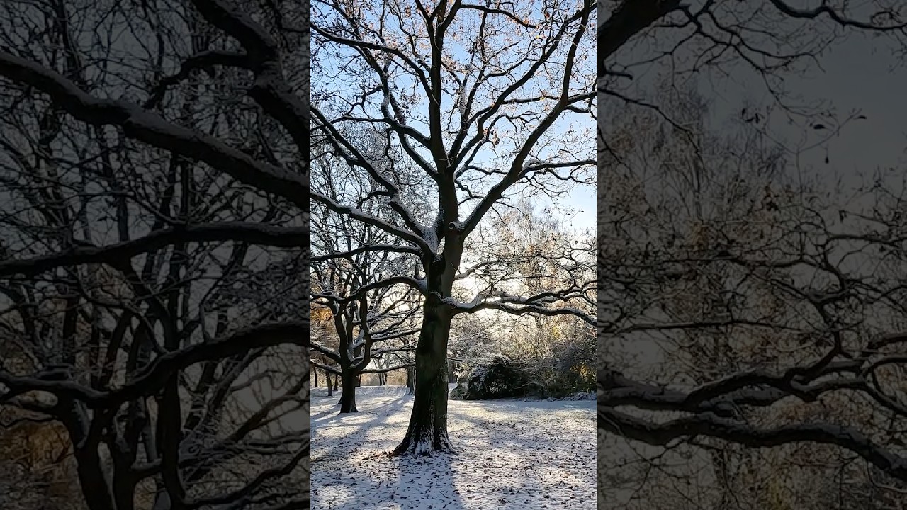 Beautiful Winter Snow in Denmark 2024