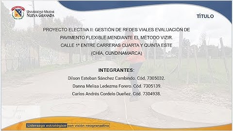 U.M.N.G. PROYECTO GESTIÓN DE REDES VIALES PARA LA EVALUACIÓN DE PAVIMENTO FLEXIBLE (MÉTODO VIZIR).