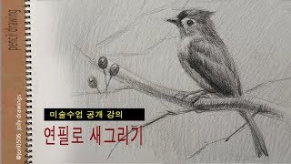 미술수업공개/ 나무에  앉아있는 댕기박새그리기