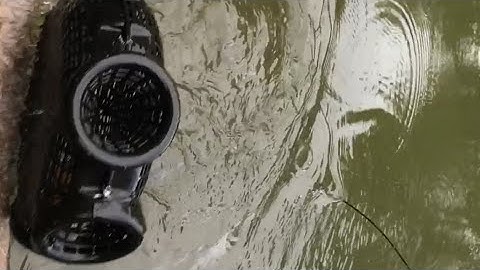 Bắt Cá Bằng Lồng 3 Cửa