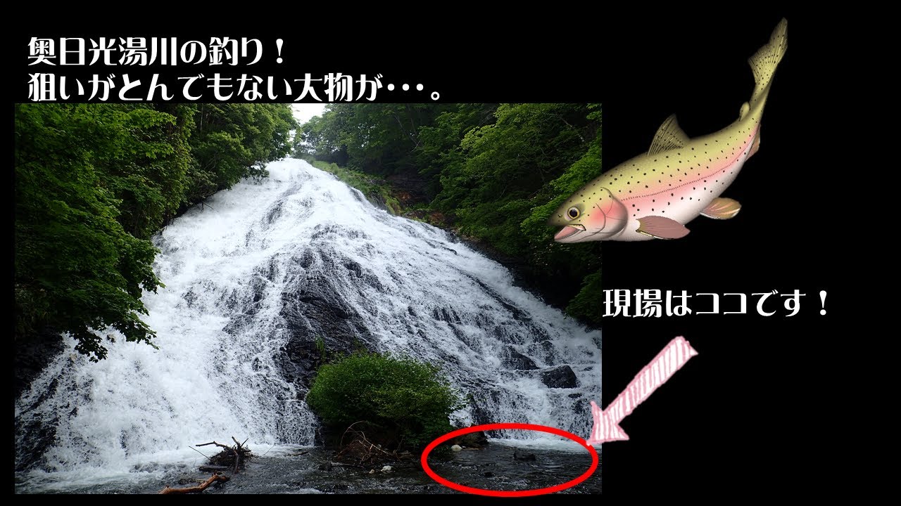 奥日光湯川の釣り！ ブルックじゃないけど！！ - YouTube