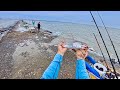 So many overslot speckled trout will die easy limits of huge fish at surfside jetty s7 e68