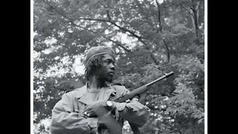 Peter Tosh JAH Guide