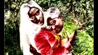 দেওরা খেলবি নাকি বল খালি মাঠ পইরা রইছে আমার সাথে চল