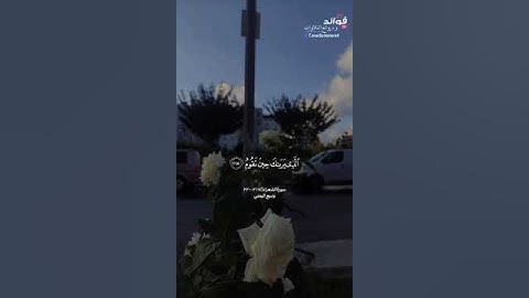 ﴿وتوكل على العزيز الرحيم...﴾[الشعراء:٢١٧-٢٢٠] || القارئ وديع اليمني