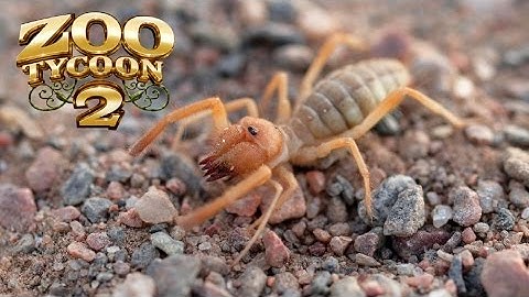 Zoo Tycoon 2: Camel Spider Exhibit Speed Build