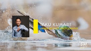 Stay Inspired | Taku Kumabe - Urban Wildlife Photography