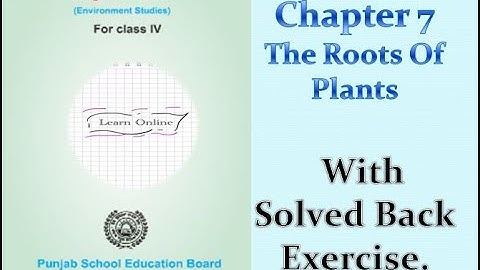 |Class 4th|EVS|PSEB| Chapter 7 [The Roots Of Plants]