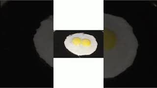 Omelette How To Make Different Omelette Recipes Wakil Gallery 
