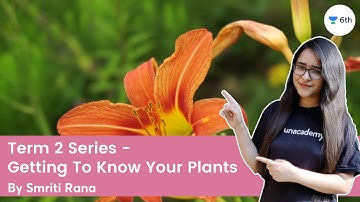 Term 2 Series - Getting To Know Your Plants | Science | Unacademy Class 6 | Smriti Rana