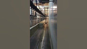 Complete Meyn slaughter line pt1