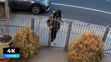 Reolink Captures: Porch Pirate Stole Package (4K)