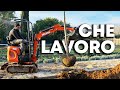Uso il MINIESCAVATORE per piantare gli ALBERI al PODERE
