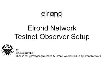 How to Setup Elrond Testnet Observer in 10 minutes