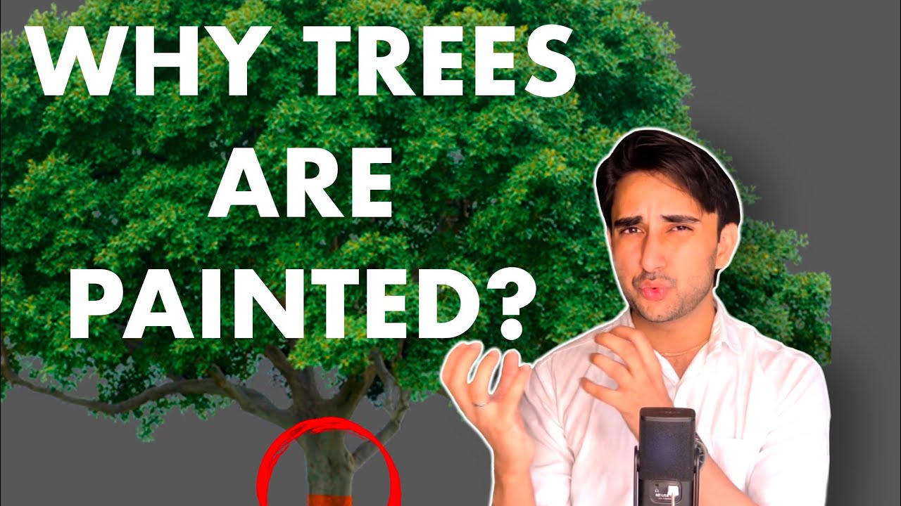 Why are trees painted in India? #paintedtrees #geography #environment #upsc