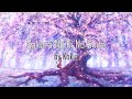 Japanese Song - 「桜の樹の下」(Sakura no Ki no Shita) - Kokia | Lyrics video