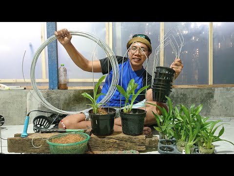 Cara Bikin Pot Bunga Gantung