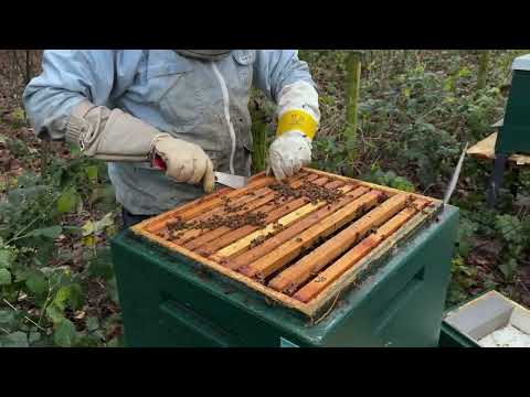 Dj Kok Den Tau Dari Dulu Truk Pink #shortsvideo
