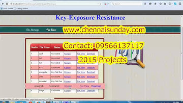 Enabling Cloud Storage Auditing with Key Exposure Resistance
