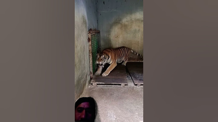 Farmer narrowly escapes  #tiger🐅 attack😱