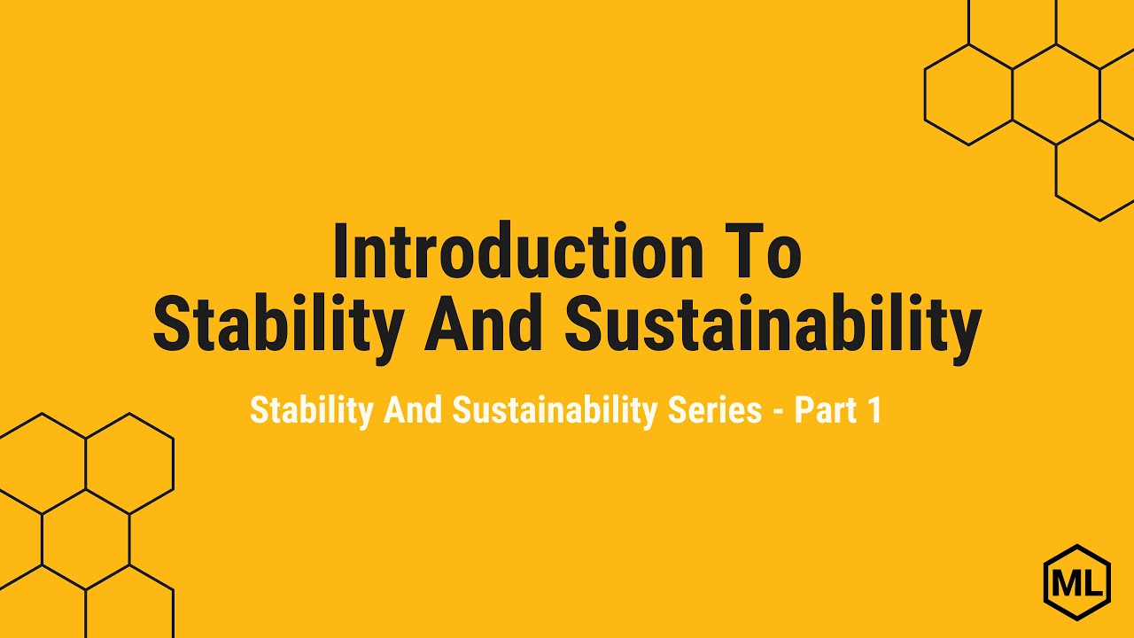 Introduction To Stability And Sustainability Stability and