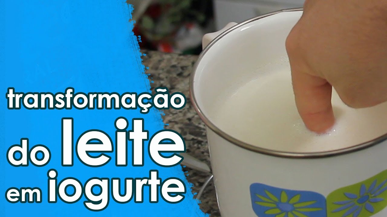 Qual é O Papel Do Iogurte Natural Nessa Atividade Explique