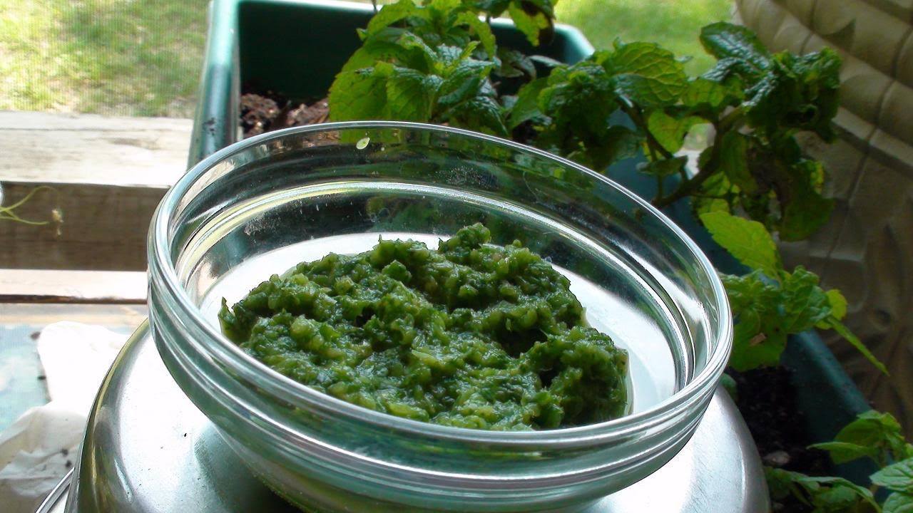 Pudina Chutney Recipe Video (Mint Pesto) Fudino Chutney Recipe By Bhavna | Bhavna