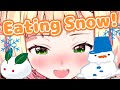 Nene Eating Snow???