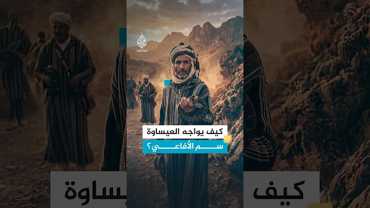 كيف يواجه عيساوة المغاربة أخطر أنواع الأفاعي؟