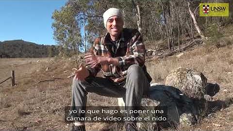 Animal Behaviour: Ep 1 Behaviour of Ectotherms (Spanish captions)