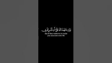 #كرومات_قرآن ووصينا الإنسان بواليديه بصوت الشيخ فارس عباد #تلاوة_خاشعة