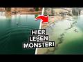 Angler erschaffen ein riesiges Schongebiet 🤯 Hier wachsen jetzt Monster! 🎣