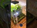 Aquascape aquarium hack  Draining aquariums can be very difficult  A good aquarium, siphon can do mo
