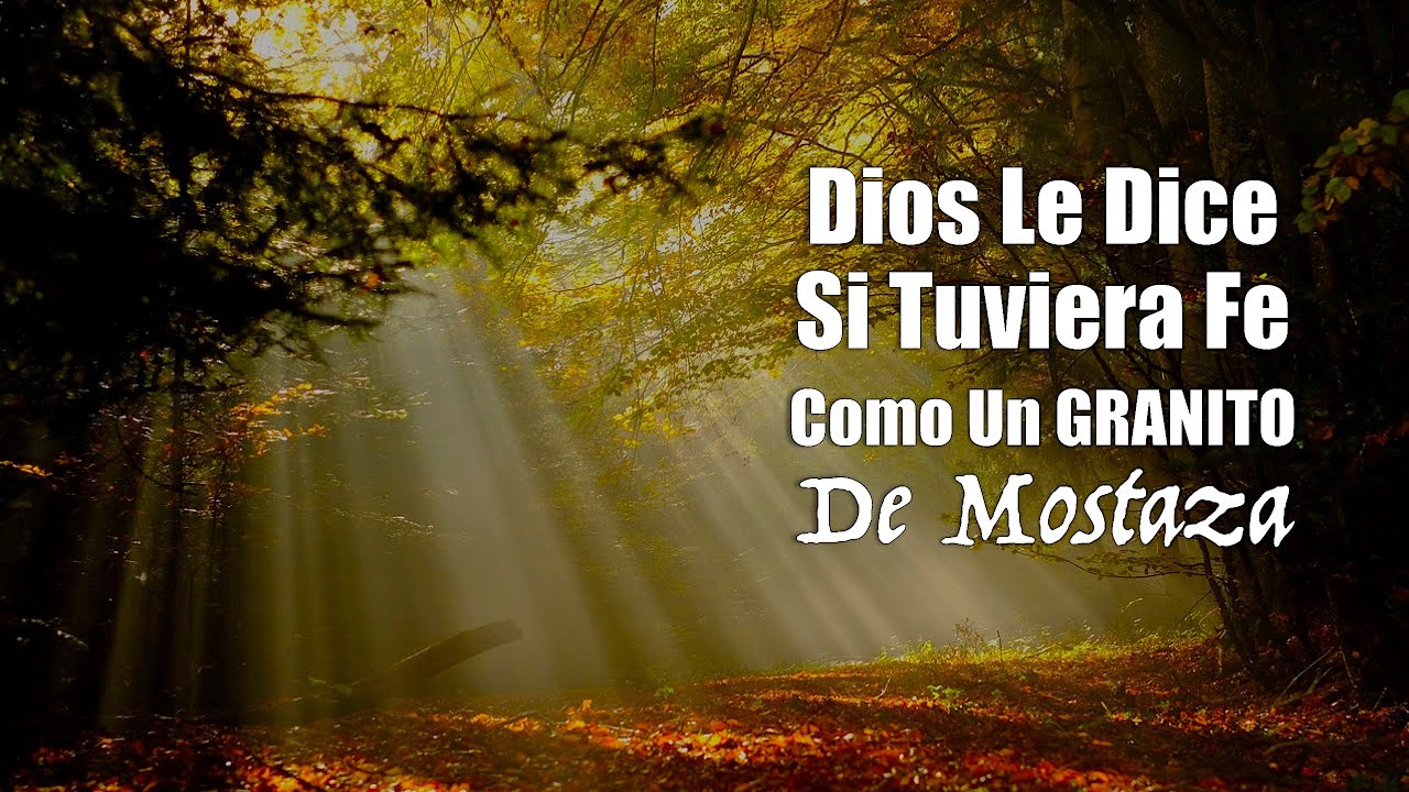 Dios Le Dice Si Tuviera Fe Como Un GRANITO De Mostaza Motivación Para El Alma YouTube Dios Le Dice Si Tuviera Fe Como Un GRANITO De Mostaza Motivación Para El Alma YouTube