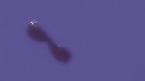 Morphing/polymorphic anomaly, full morphing sequence 02/17/14 10:55am-11:15am EST