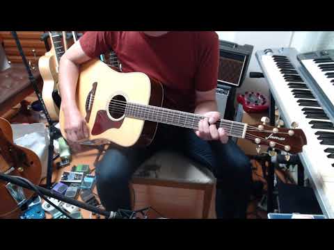 笑う奴 樋口了一 の弾き語り Cover