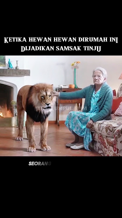 Nenek ini meninju seekor singa #alurceritafilm #film