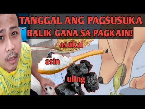 Video: Isang Gabay Para Sa Paggamit Ng Diet Upang Tratuhin Ang Pagsusuka Sa Mga Aso