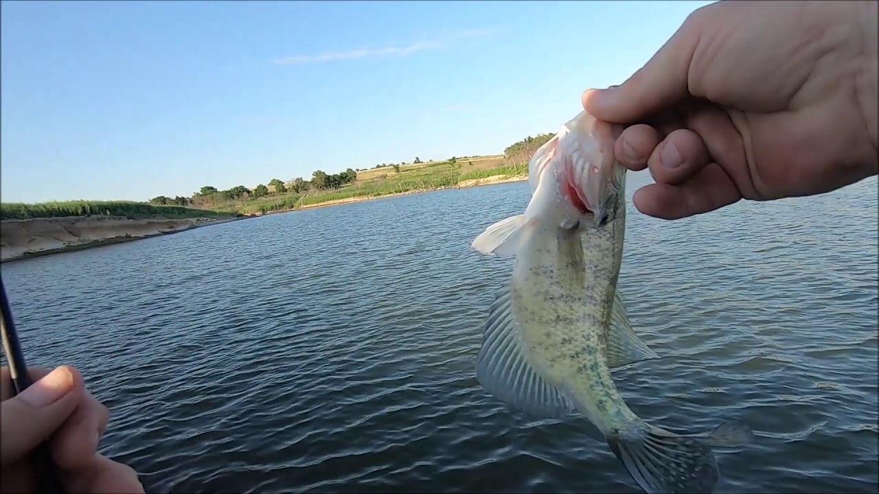 Summer Shore Fishing Milford Lake After Work YouTube Summer Shore Fishing Milford Lake After Work YouTube