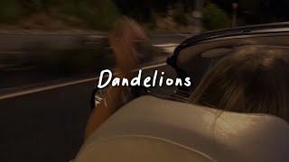 dandelions (slowed reverb   lyrics)
