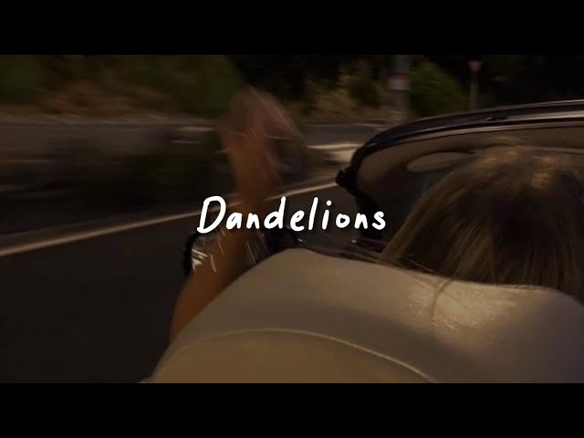 dandelions (slowed reverb + lyrics) class=