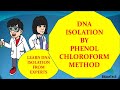 Dna isolation by phenol chloroform method  dna isolation from blood protocol in a laboratory