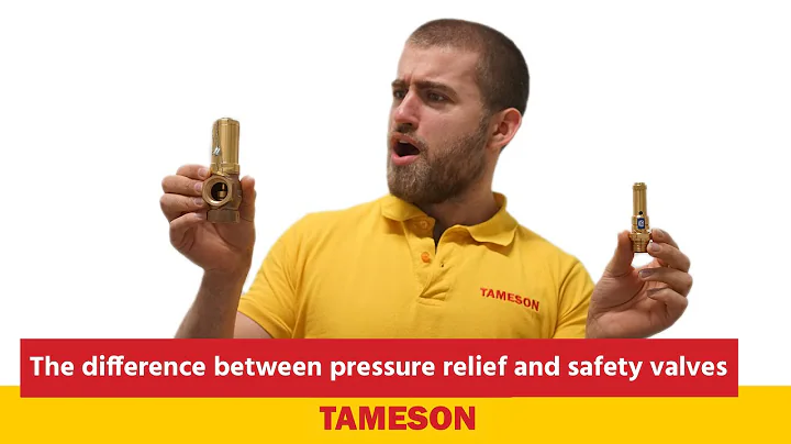 The difference between pressure relief and safety valves | Tameson