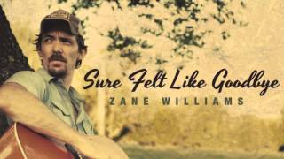 Zane Williams - Sure Felt Like Goodbye chords