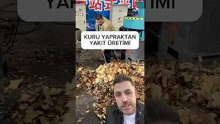 Kuru Yapraklar Yakıt Haline Geliyor Değil