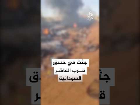 عشرات الجثث في خندق بالقرب من مدينة الفاشر