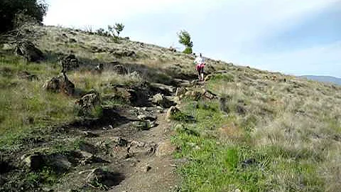Downhill Running at Santa Teresa County Park