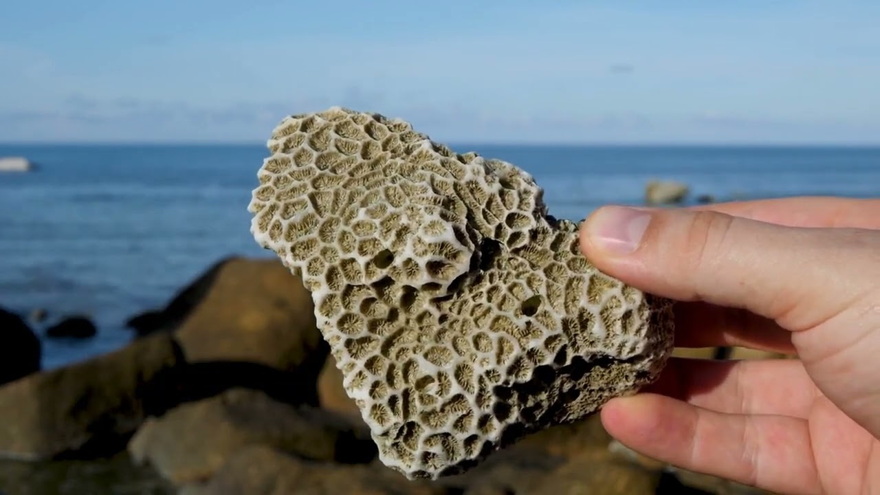 THE LATEST RESEARCH AND ADVANCEMENTS IN ENVIRONMENTAL SCIENCE - Science Net | 