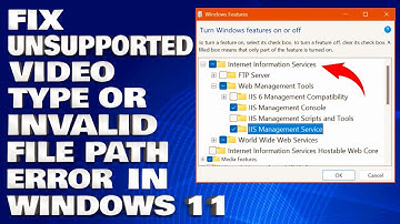 How To Fix Unsupported Video Type or Invalid File Path Error in Windows 10/11