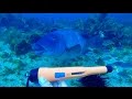 Deteknix Xpointer Pro 🎁 Found Ocean treasure, Metal Detecting 👍🏻